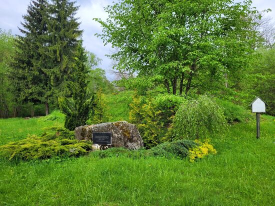 Krotes Park and Barons' Oak